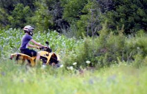  motorcycle-vehicle-quad-outdoor-activities